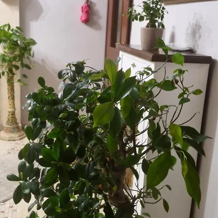 Апартаменты Casa Lela